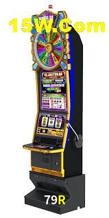 Flash Promotion 79R